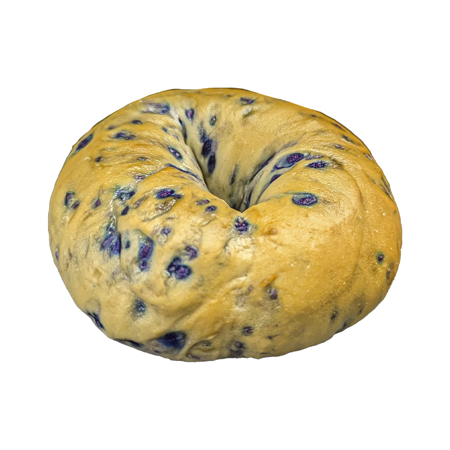 Blueberry Bagel